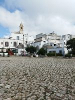 20230927_Alberobello_20.jpg