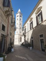 20230928_Trani_08.jpg